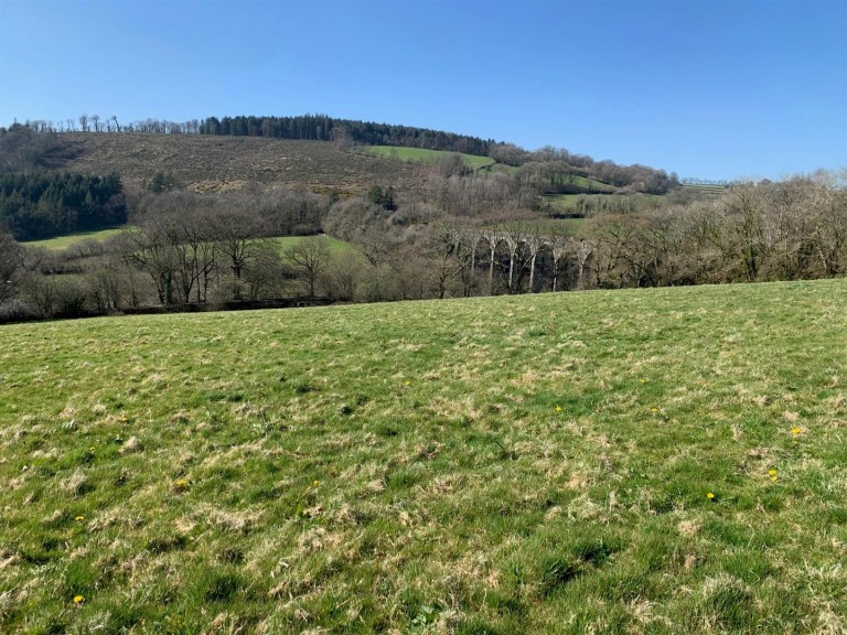 Images for Tavistock