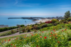 Images for Marine Parade, Lyme Regis