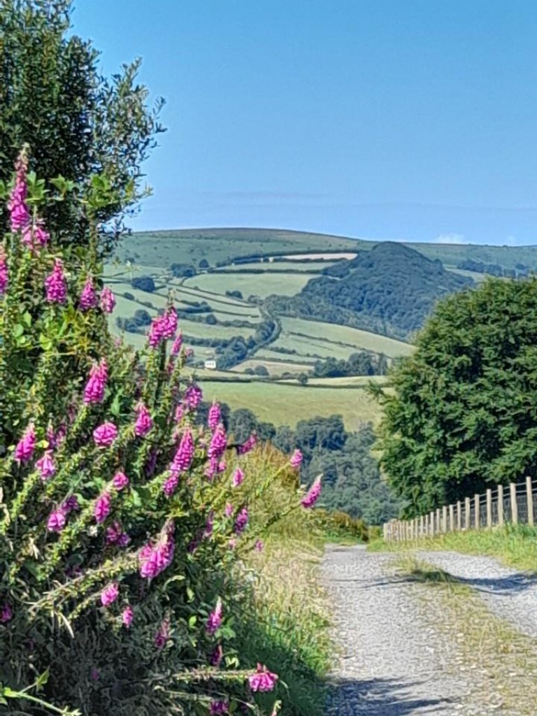 Images for Exton, Dulverton