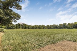 Images for High Street, Babraham