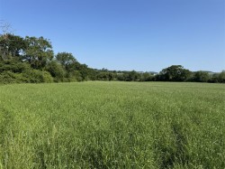 Images for Broadwindsor