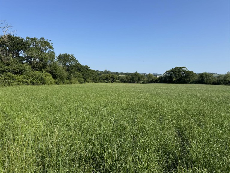 Images for Broadwindsor