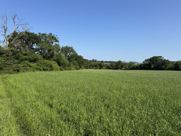 Images for Broadwindsor