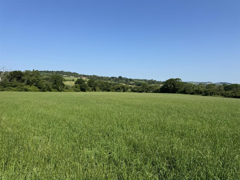 Images for Broadwindsor