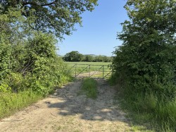 Images for Broadwindsor