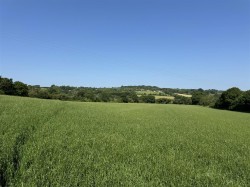 Images for Broadwindsor