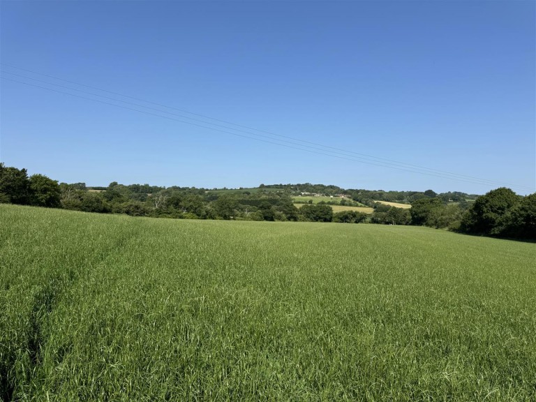 Images for Broadwindsor