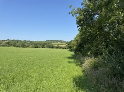 Images for Broadwindsor