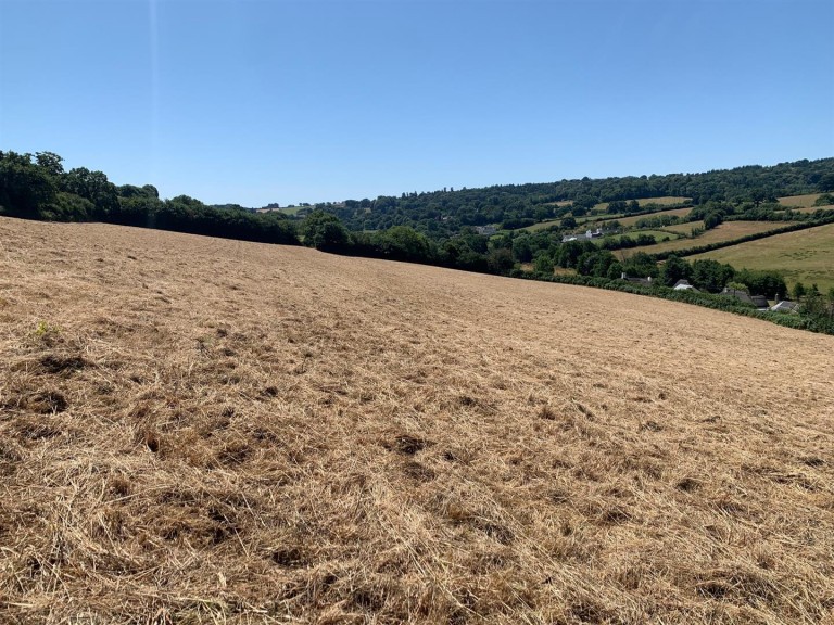 Images for Dawlish Water