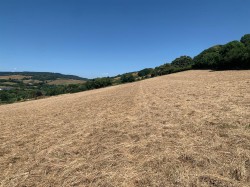 Images for Dawlish Water