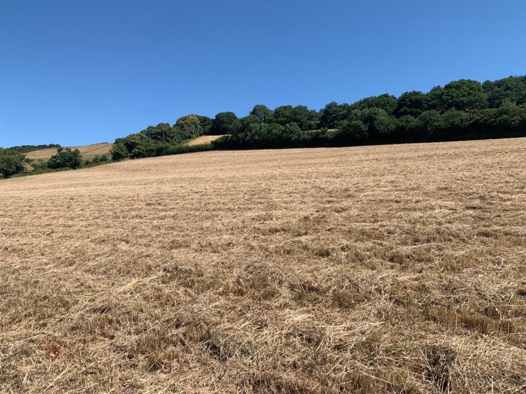 Images for Dawlish Water