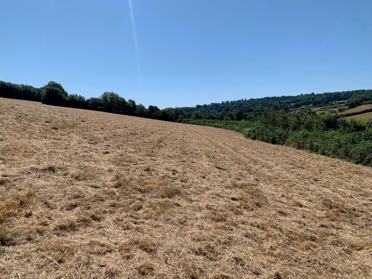 Images for Dawlish Water