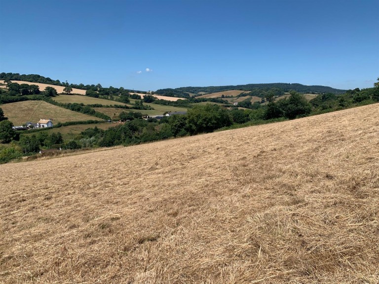 Images for Dawlish Water