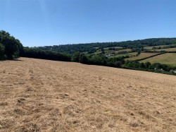 Images for Dawlish Water