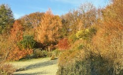 Images for Membury, Axminster
