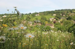Images for Membury, Axminster