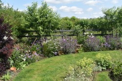 Images for Buttercup Close, Lutterworth, LE17