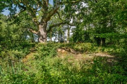 Images for Warmwell, Dorchester, Dorset