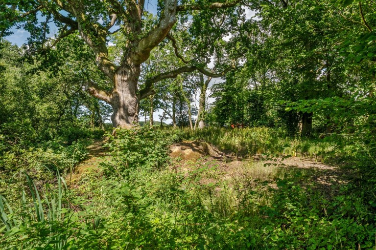 Images for Warmwell, Dorchester, Dorset