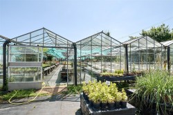 Images for Oake, Taunton