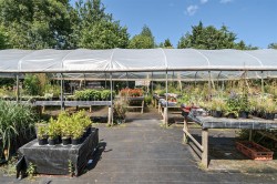 Images for Oake, Taunton