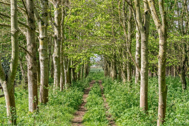 Images for Eastleach, Gloucestershire