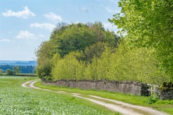 Images for Eastleach, Gloucestershire