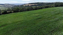 Images for Land at Bullmoor Cross, Musbury, Axminster