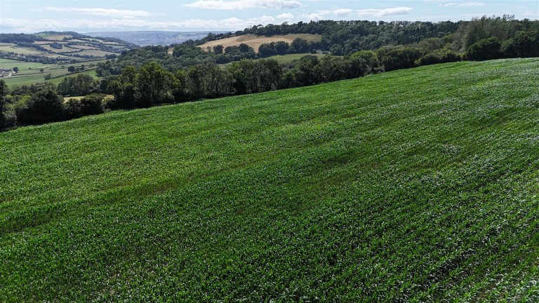 Images for Land at Bullmoor Cross, Musbury, Axminster