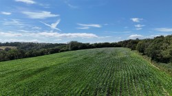 Images for Land at Bullmoor Cross, Musbury, Axminster
