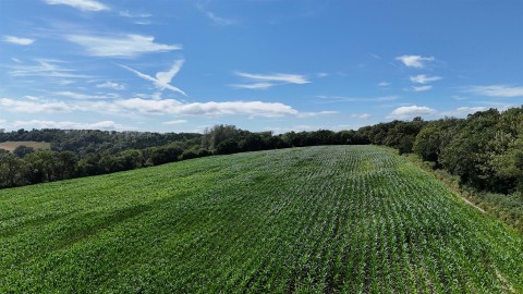 Click the photo for more details of Land at Bullmoor Cross, Musbury, Axminster
