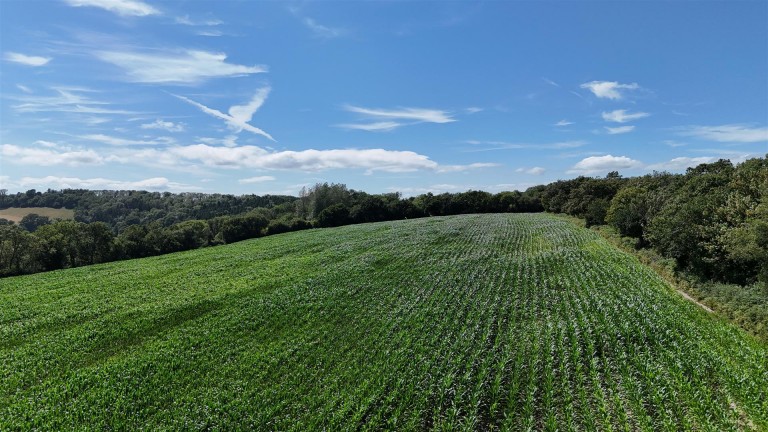 Images for Land at Bullmoor Cross, Musbury, Axminster