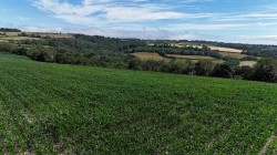 Images for Land at Bullmoor Cross, Musbury, Axminster