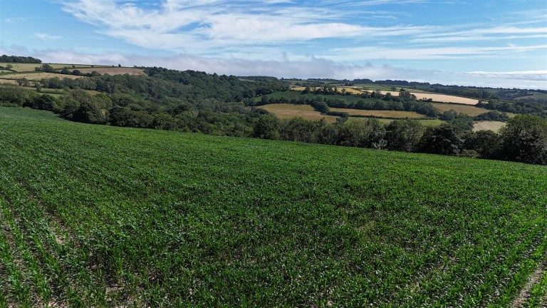 Images for Land at Bullmoor Cross, Musbury, Axminster