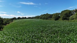 Images for Land at Bullmoor Cross, Musbury, Axminster