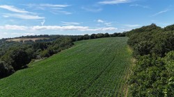 Images for Land at Bullmoor Cross, Musbury, Axminster