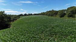 Images for Land at Bullmoor Cross, Musbury, Axminster