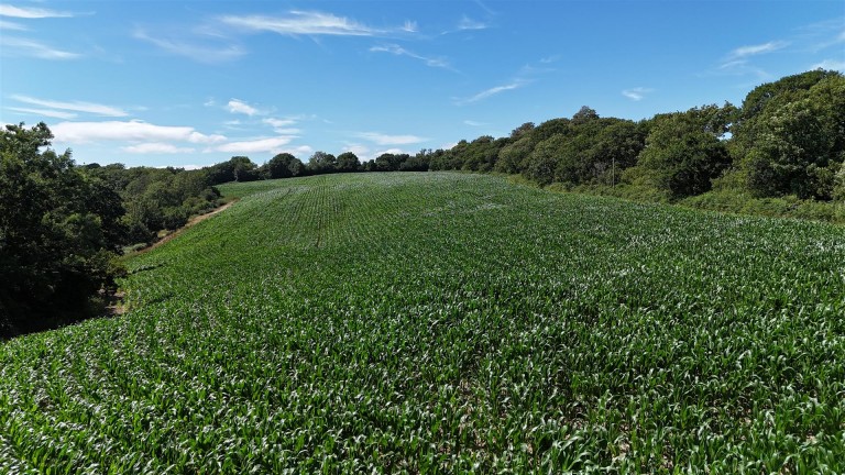 Images for Land at Bullmoor Cross, Musbury, Axminster