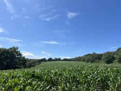 Images for Land at Bullmoor Cross, Musbury, Axminster