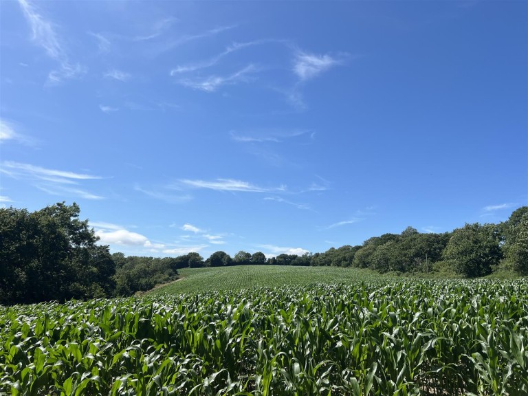 Images for Land at Bullmoor Cross, Musbury, Axminster