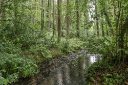 Images for Parkham, Bideford