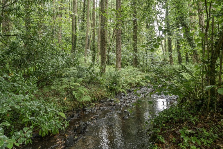 Images for Parkham, Bideford