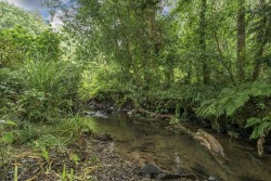 Images for Parkham, Bideford