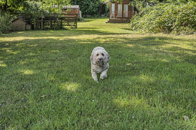 Images for Bickington, Newton Abbot