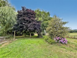 Images for Seaton Road, Musbury