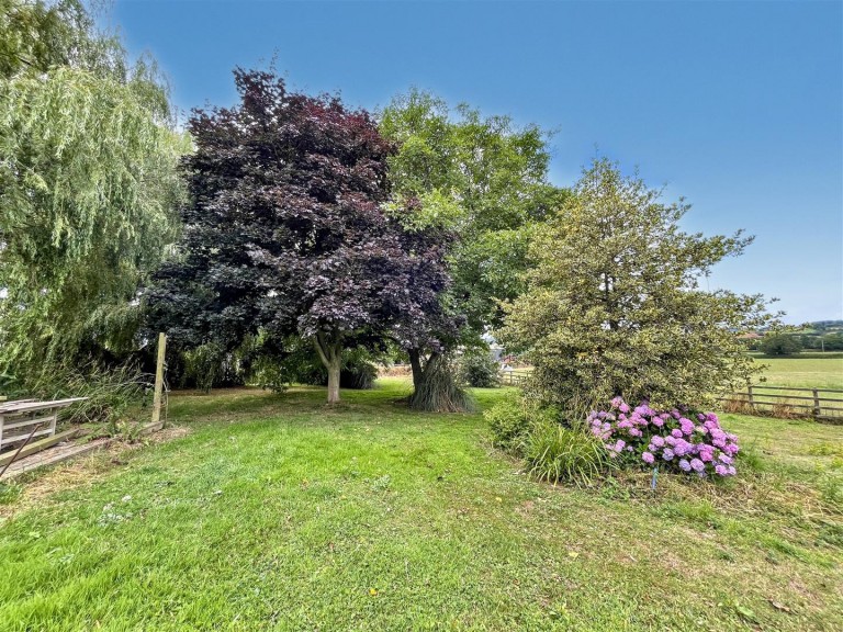Images for Seaton Road, Musbury