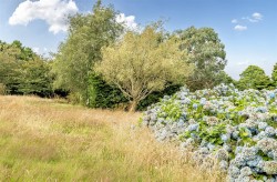 Images for St. Austell