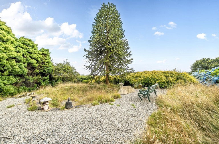 Images for St. Austell