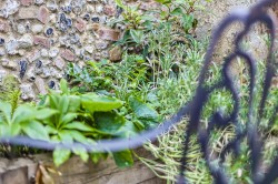 Images for Castle Street, Saffron Walden