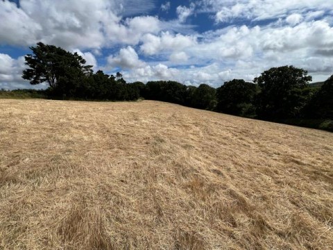 Click the photo for more details of Nr Gatcombe, Isle of Wight